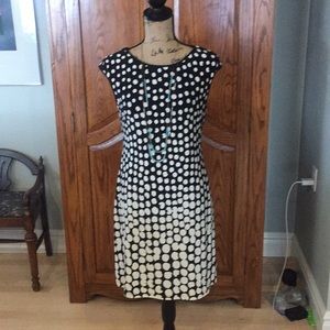 New Eliza J Size 6 Dress Black & Cream